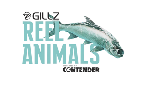 Reel Animals