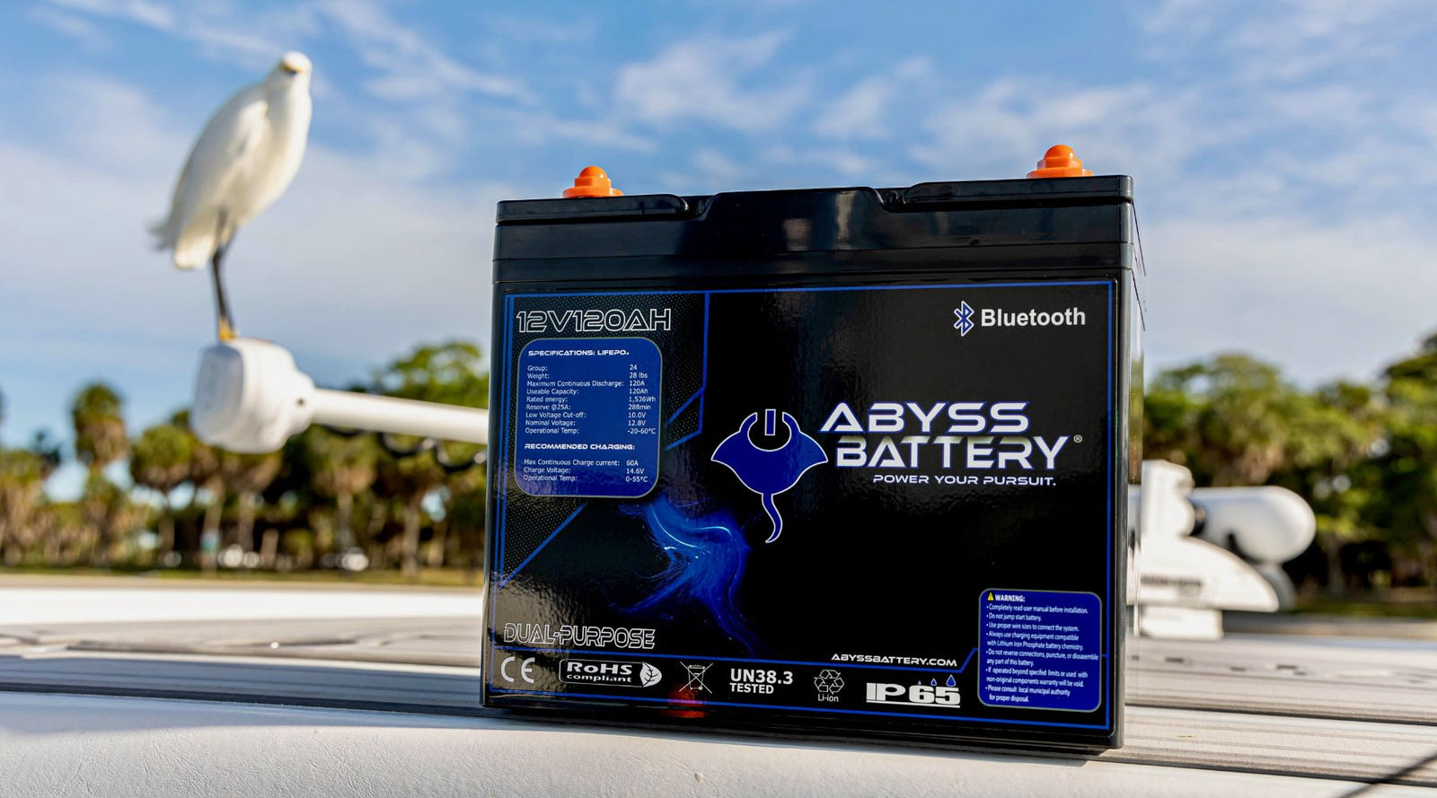 Advancements in Dual Purpose Marine Battery Technology