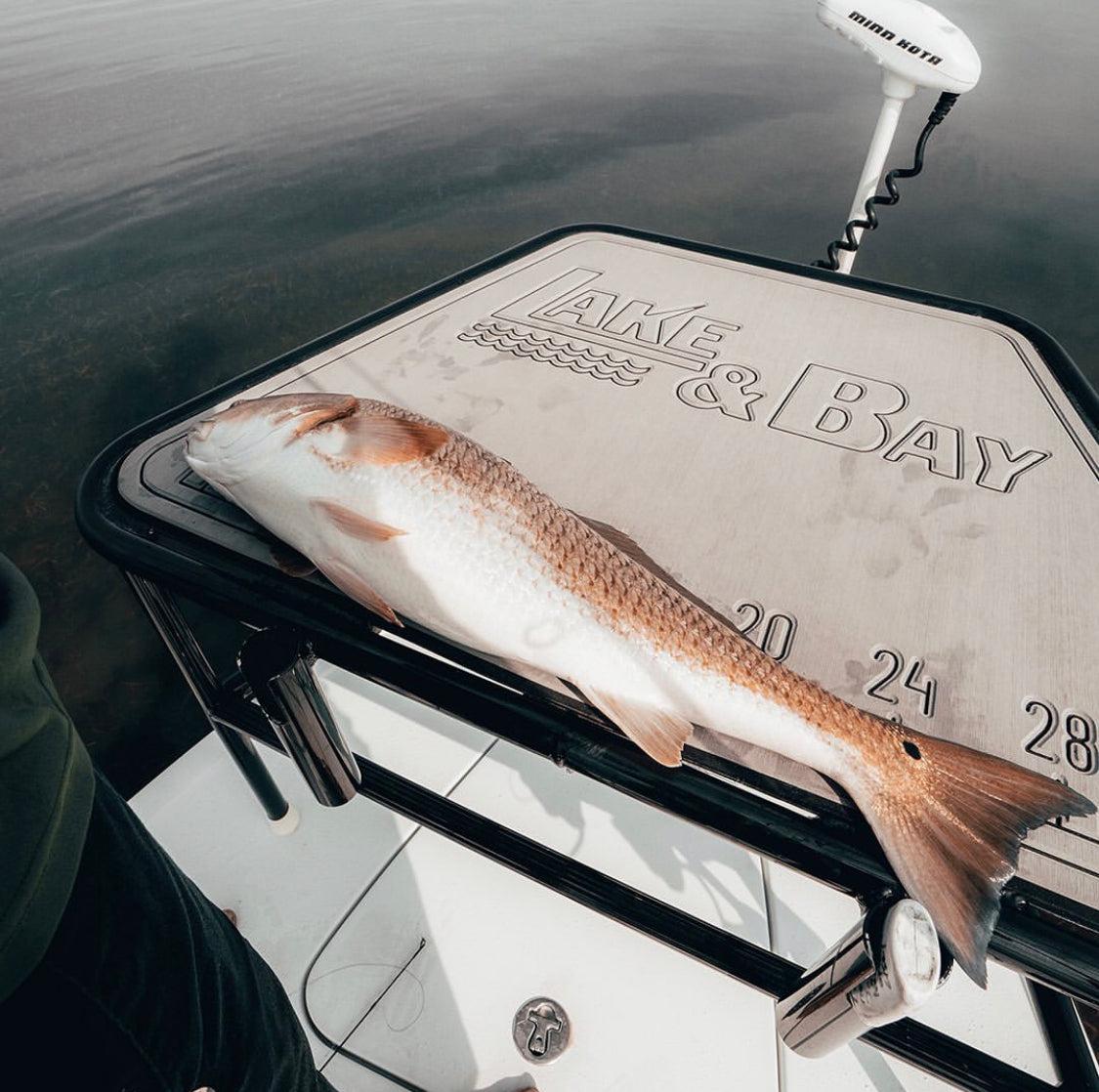 How Trolling Motor Batteries Make for Stealthy Fishing