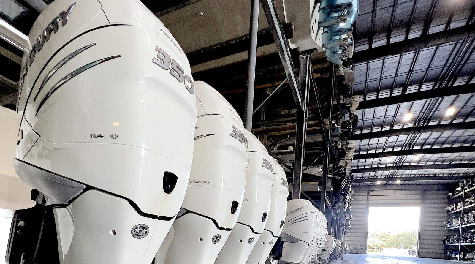 Mercury Marine® Lithium Starting Battery.