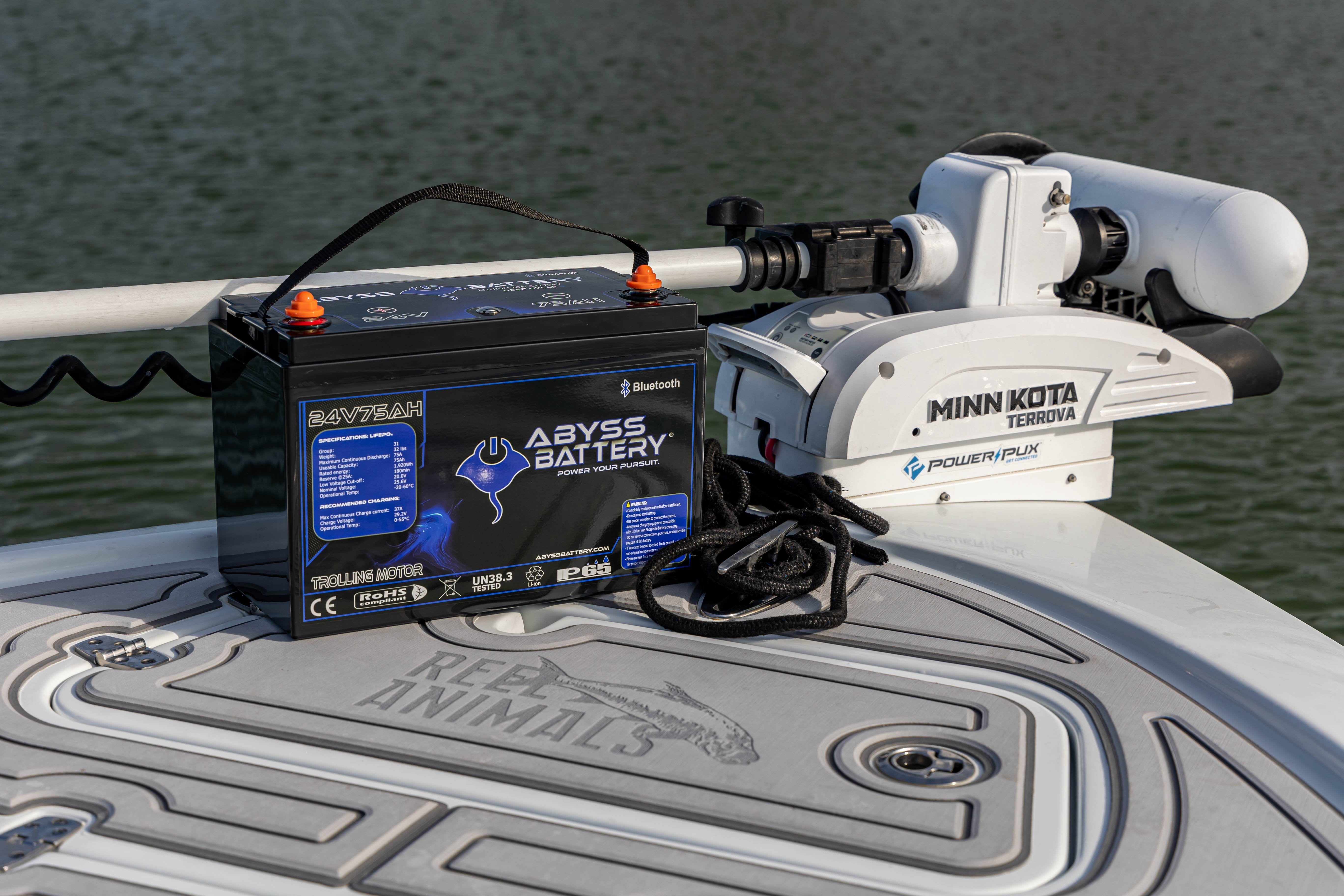 24V Lithium Trolling Motor Batteries