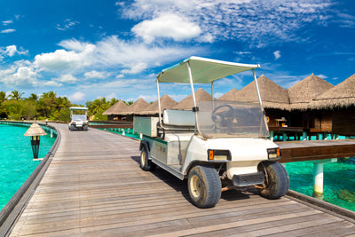 Lithium Golf Cart Batteries